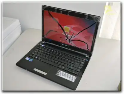 Замена матрицы Packard Bell у метро Царицыно